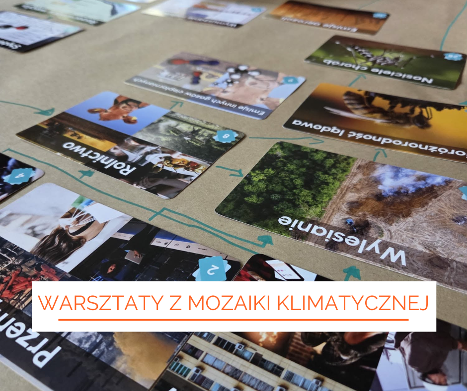 Warsztaty z mozaiki klimatycznej